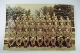 Vintage Wwii 99th Infantry Division Us Army Photo Picture 8 " X 12 "