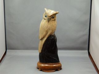 Owl Hand Carved Buffalo Horn W/wood Base