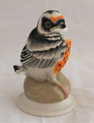 Boehm Porcelain Fledgling Blackburnian Warbler Figurine 478