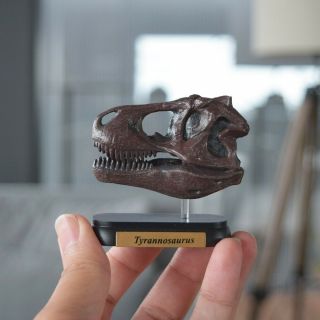 Favorite Tyrannosaurus Skull Dinosaur Mini Model Figure Designed By H.  Tokugawa
