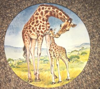 A Kiss For Mother Giraffe Collector 