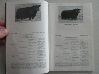 SBE12 Mercer County Spring Aberdeen IL Illinois Black Angus booklet 3
