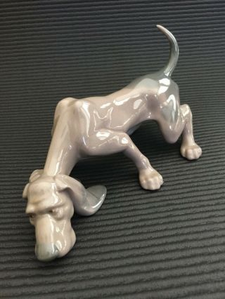 Lladro 5110 Sniffing Bloodhound Glazed Porcelain Dog Figurine