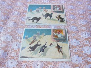 Victorian Christmas Cards/cats On Snowy Roof/s.  Hildesheimer