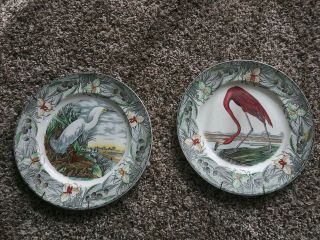 Set Of 2 Plate John James Audubon Birds Of America Snowy Egret/american Flamingo