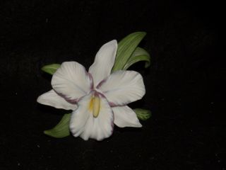 Vintage Porcelain White Orchid Flower Figure Figurine 06724