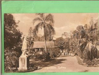 A.  Postcard,  Botanic Gardens,  Sydney