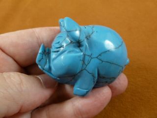(y - Pig - Po - 713) Blue Howlite Roly Poly Pot Belly Pig Gemstone Figurine Carving