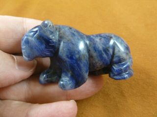 (y - Pant - 705) Blue Sodalite Panther Leopard Wild Cat Gemstone Carving Figurine