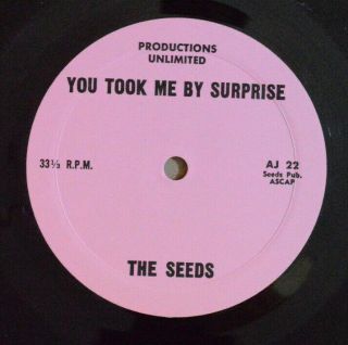 Psych Garage 45 - The Seeds - You Took Me By Surprise /shuckin 
