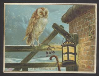 C10339 Victorian Tuck Xmas Card: Owl By Lamp,  Far
