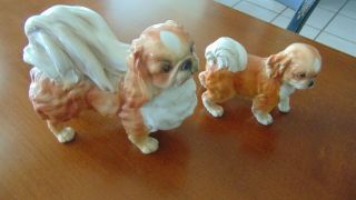 Dog Figurines,  2 Pekingnese,  2 Afghan Hounds And A Boxer.