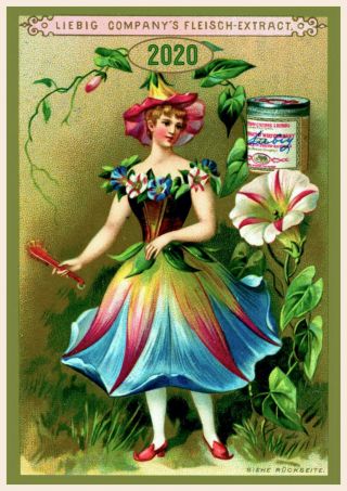 2020 Wall Calendar [12 Pgs A4] Flower Woman Vintage Liebig Cards M804