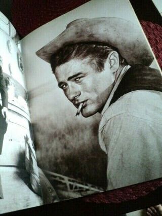 JAMES DEAN Poster Book - 20 Tear - Out Posters 11x16 with Mini Biography 2