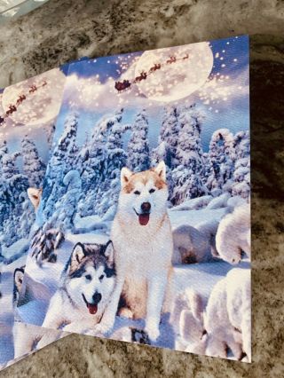Alaskan Malamute Siberian Husky Sled Dog Eskimo Fine Art Christmas Card