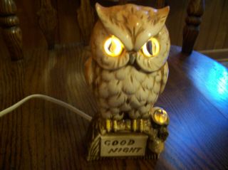 Vintage Beige/brown 7.  5 " Ceramic Owl Night Light With Real Marble Eyes Very Good