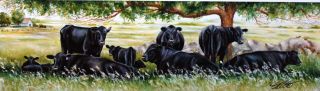 Small Cattle Cows Black Angus Pastures Art Print Landscape Picture Toni Grote