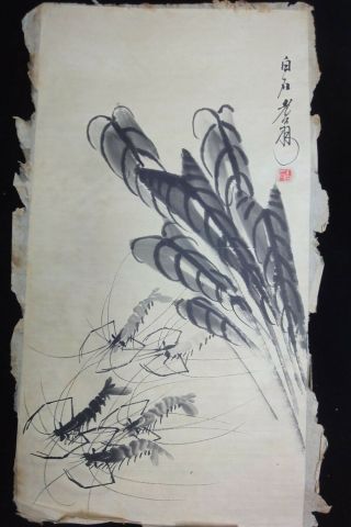 Rare Large Old Chinese Hand Painting Shrimps Signed " Qibaishi "