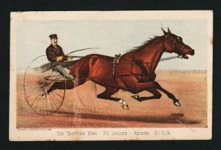 1881 Currier & Ives Trade Card - St Julien Race Horse - Mt Morris Ny
