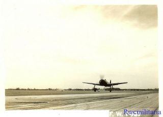 Org.  Photo: Captured Luftwaffe Fw.  190 Fighter Plane Undegoing RAF Trials 2