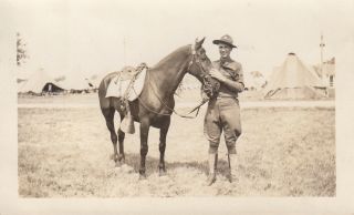 Photo 132nd Infantry 33rd Division Illinois National Guard Named W/ Horse 13