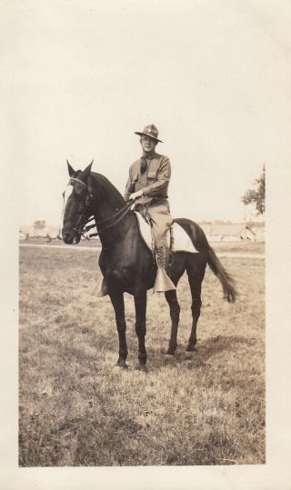 Photo 132nd Infantry 33rd Division Illinois National Guard Named On Horse 12