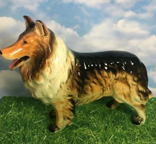 Vintage Rough Collie Dog Figurine Made In Japan Large 19e