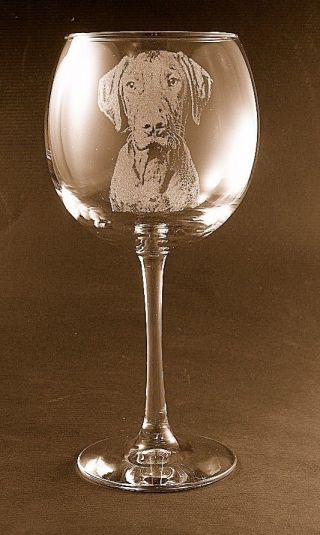 Etched Vizsla On Large Elegant Wine Glasses - Set Of 2