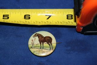 Vitnage 1910 Dr.  Le Gear Giant Horse Weighs 2992 Pounds 1.  25 " Button