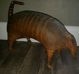 Vtg Real Taxidermied Armadillo