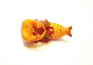 Rare Kaiyodo Chocoq Series 7 Stag Beetle Pupa Larva Stage 2 Sp Insect Bug Figure