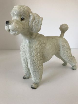 Large Vintage Porcelain White Curly Poodle Dog Figurine Japan 7 " H X 8 " L