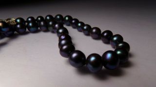 Vtg Rich Black Real Pearl Hand Knotted Silk Sterling Silver Bead Necklace 17 1/2