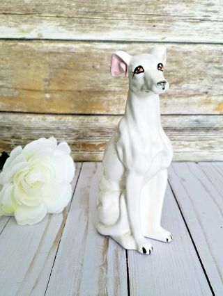 White Ceramic Greyhound Handmade Italian Statue 7 Inch