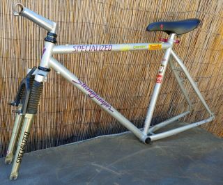 Vintage Specialized Stumpjumper Frame Mountain Bike