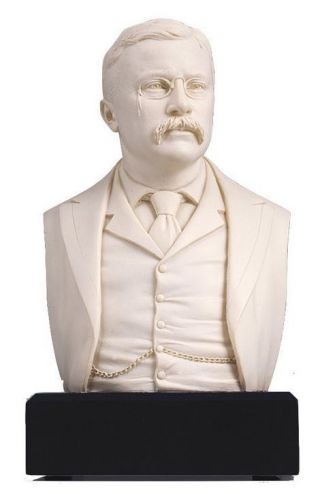 President Theodore Roosevelt Historical Bust Collectible Figure Great Americans