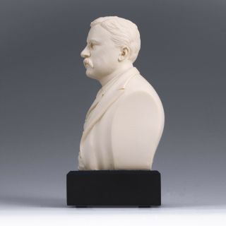 President Theodore Roosevelt Historical Bust Collectible Figure GREAT AMERICANS 3