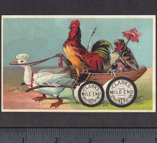 Chicken 1800 
