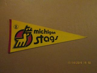 Wha Michigan Stags Vintage Defunct Circa 1974 - - 75 Team Logo Hockey Pennant