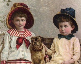 Kennys Roasted Coffee Pug Dog Girls Embossed Die Cut Large Victorian Trade Card