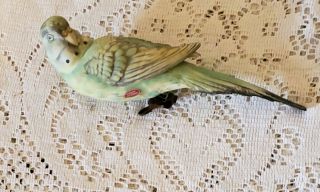 Vintage Hand Painted Bisque Clip On Parakeet / Japan