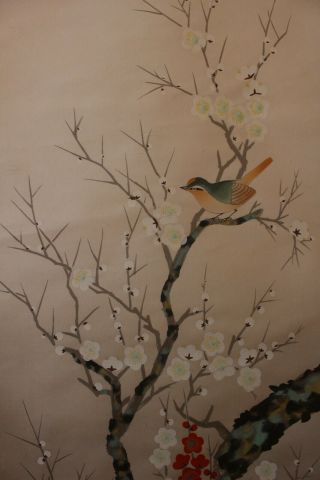 J07e3 梅 Red & White Ume Plum Tree & Cute Bird Japanese Hanging Scroll