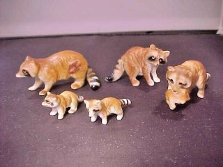 5 Bone China Blended Family Raccoon Figurines