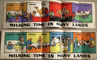 Set Of2 School Posters Milking Time In Many Lands Dairymens League Coop