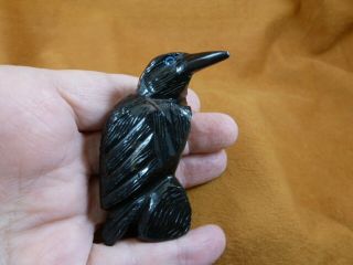 (y - Bir - Ra - 200) Black Raven Crow Onyx Carving Peru Figurine Bird Noir Ravens