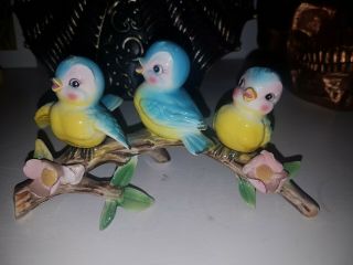 Norcrest Bluebird On Branch