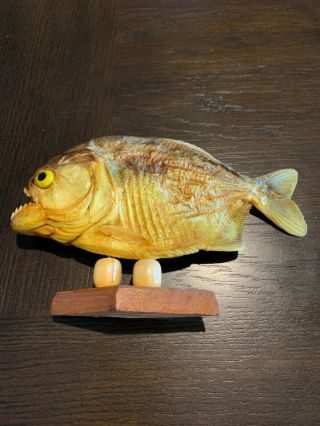 Piranha Fish Preserved From Brazil Taxidermy Collectible Flesh Eating Predator