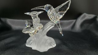 Swarovski Crystal Figurine Hummingbird In Flight 7615nr000001 Mib