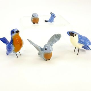 Vintage Hagen Renaker Miniature Figurine Set 5pc Birds Bluebird Blue Jay W/ Wire