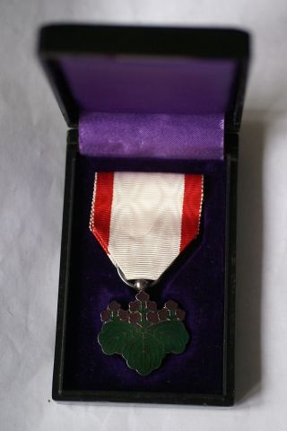 Japanese Cased Order Of The Rising Sun 7th Class